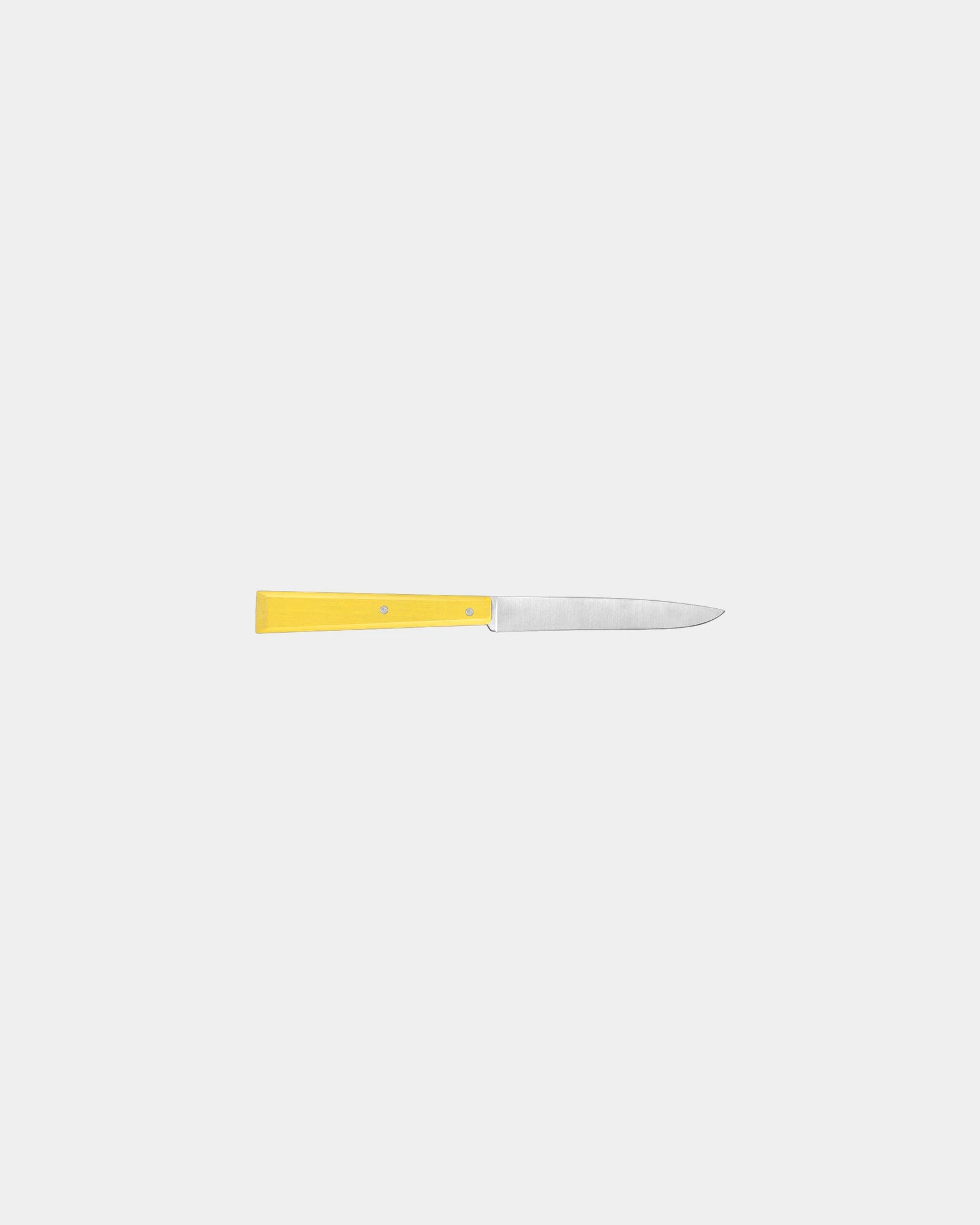 Custom stainless steel table knife Opinel N°125 - 2