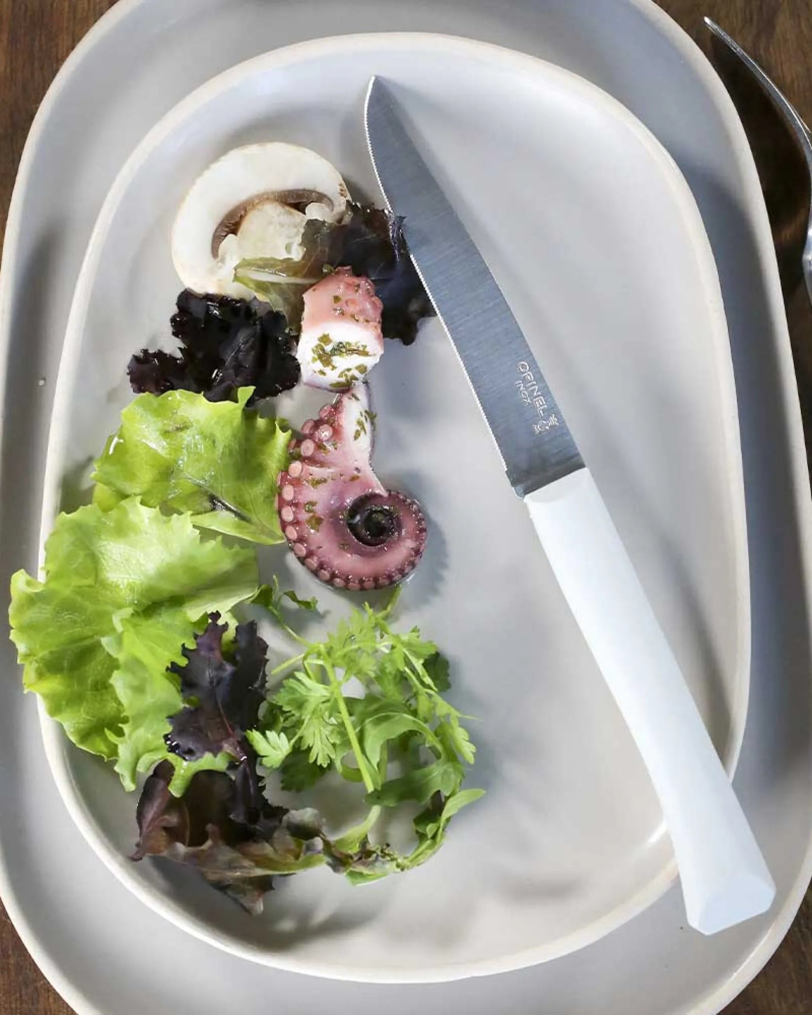 Custom eco-friendly table knife Opinel Bon Appétit + - 1