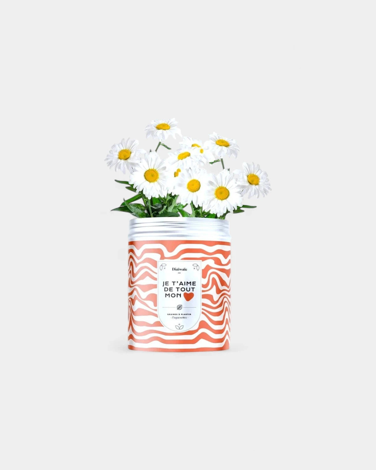 Customizable Planting Seed Kits - 1
