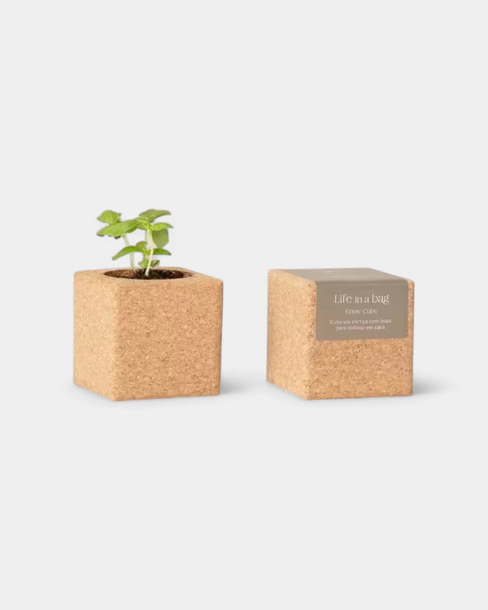 Customizable Grow Cube - 2