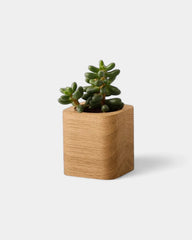Customizable Cube Pot - 11