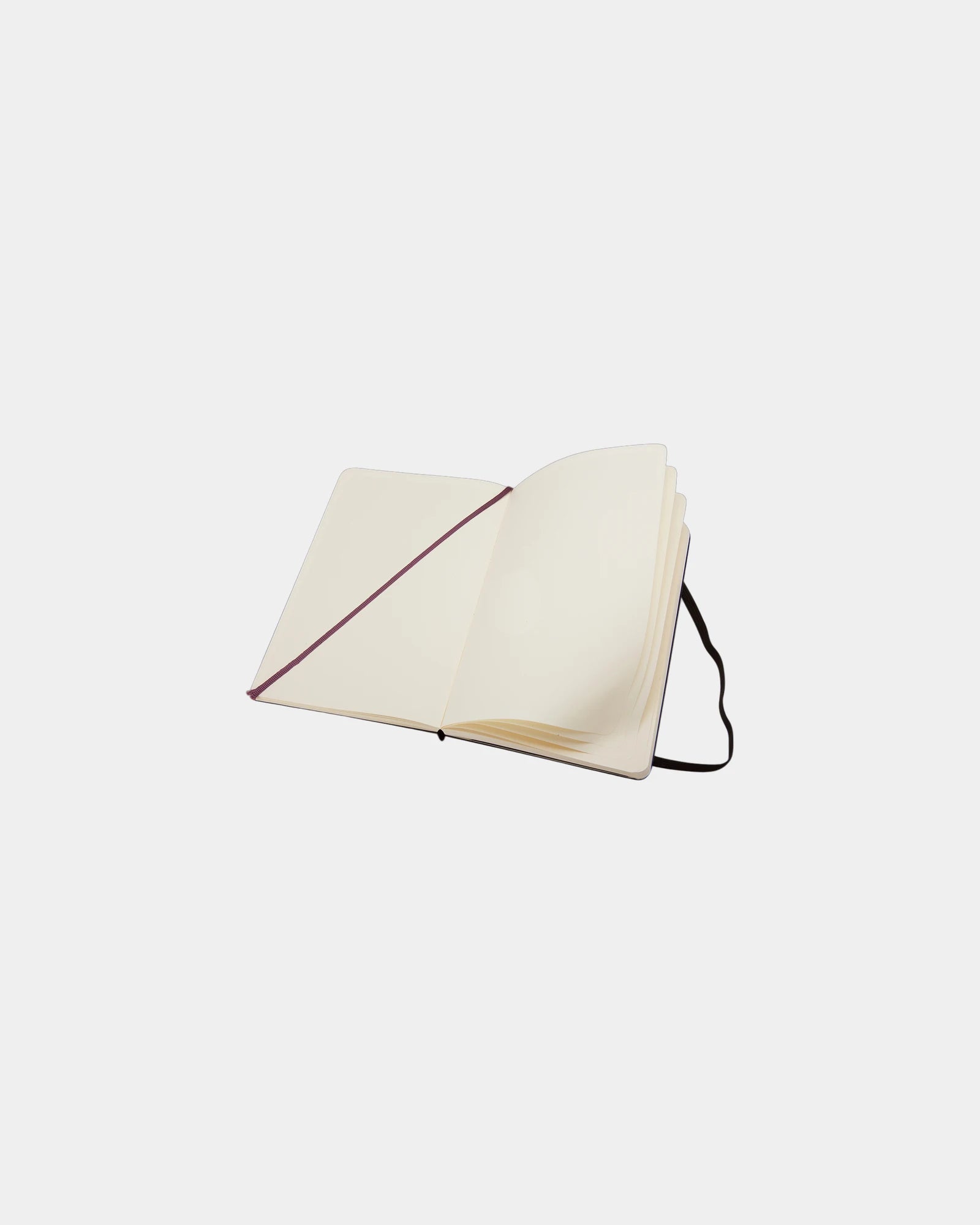 Custom eco-friendly Moleskine Classic L notebook - 4