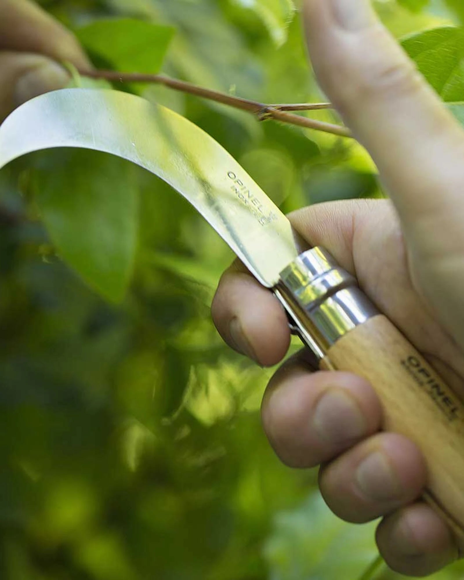 Custom stainless steel garden tool Opinel Serpette N°10 - 3