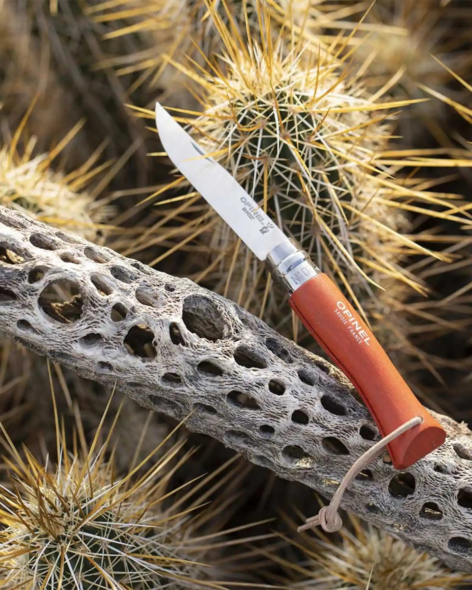 Custom eco-friendly stainless steel knife Opinel N°06 - 11