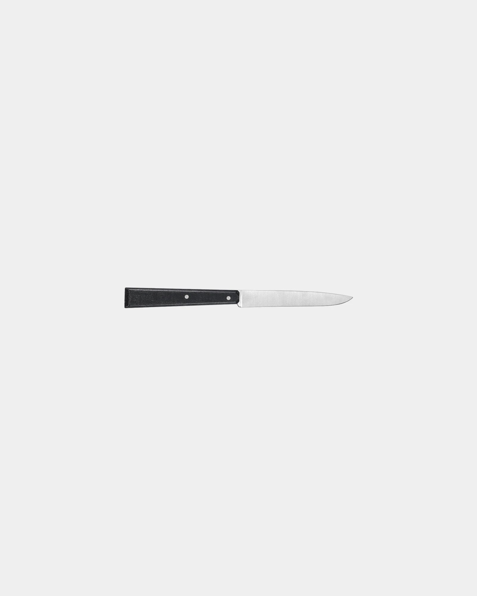 Custom stainless steel table knife Opinel N°125 - 1