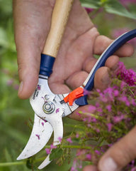 Custom personalized stainless steel garden shears Opinel - 6