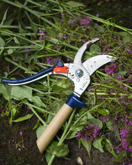 Custom personalized stainless steel garden shears Opinel - 5