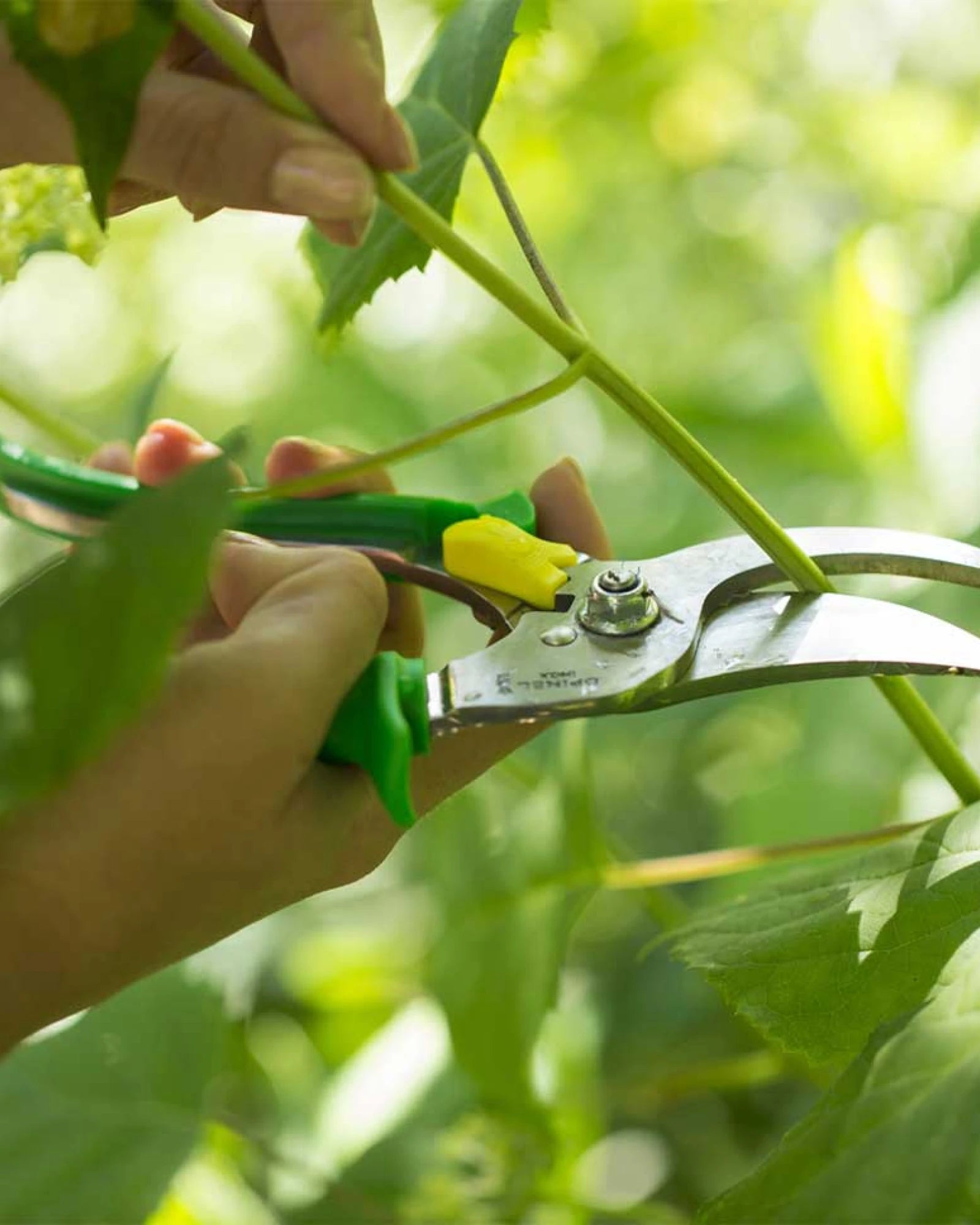 Custom eco-friendly garden tool Opinel Prairie secateurs - 8