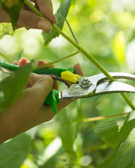 Custom eco-friendly garden tool Opinel Prairie secateurs - 8