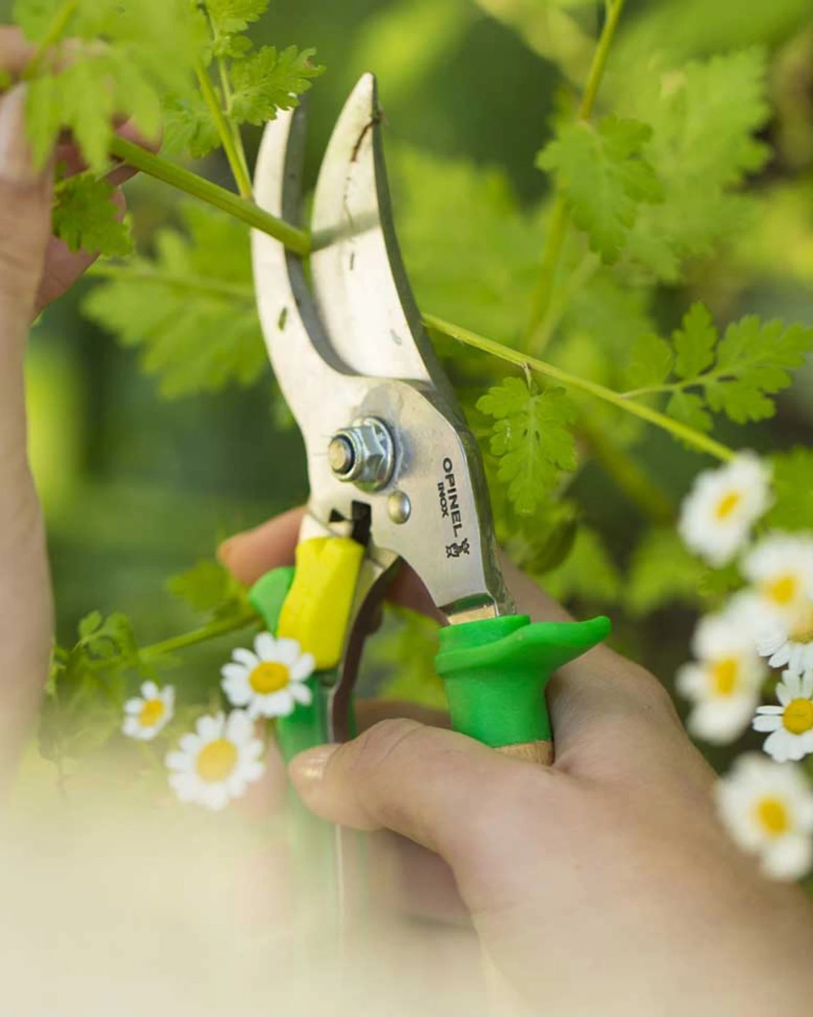 Custom eco-friendly garden tool Opinel Prairie secateurs - 4