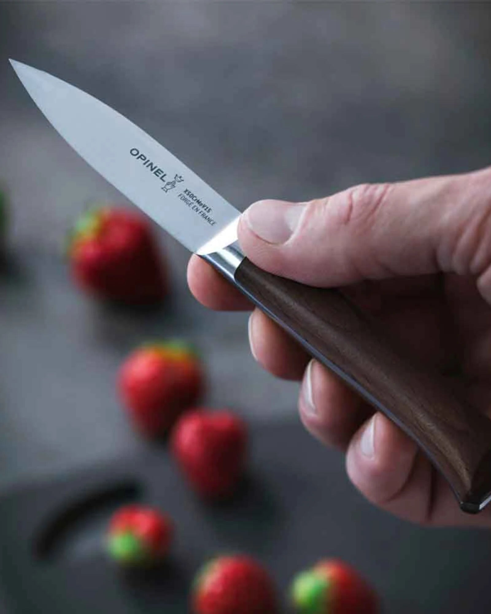 Custom stainless steel kitchen knife Opinel Les Forgés 1890 - 5