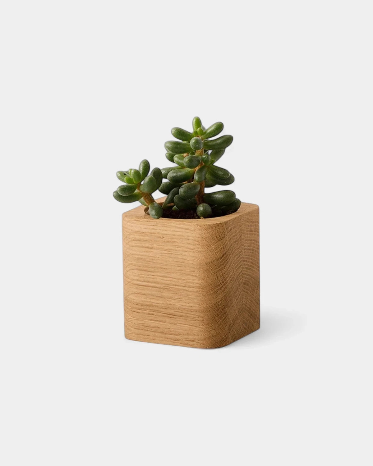 Customizable Cube Pot - 23