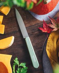 Custom eco-friendly stainless steel knife set Opinel - 4