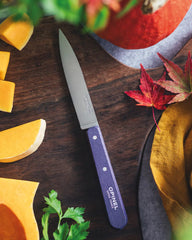 Custom eco-friendly stainless steel knife set Opinel - 6
