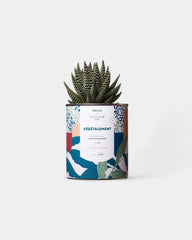 100% Customizable Cactus Diaiwaie