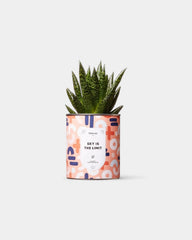 100% Customizable Cactus Diaiwaie - 3