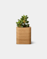 Customizable Cube Pot - 12