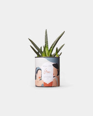 100% Customizable Cactus Diaiwaie - 2