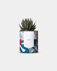 100% Customizable Cactus Diaiwaie - 1