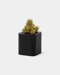 Customizable Cube Pot - 8