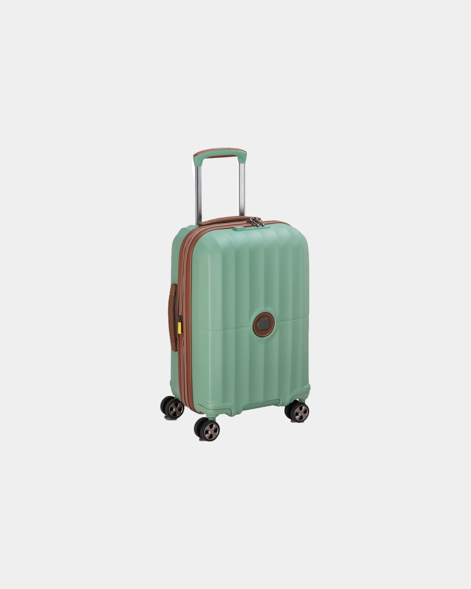 Custom polycarbonate trolley suitcase Delsey Carrousel 2 - Sage Green