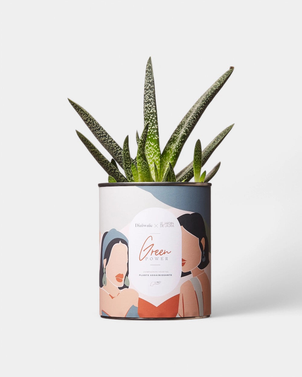 100% Customizable Cactus Diaiwaie - 6
