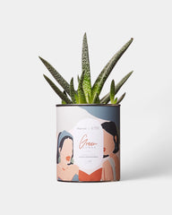 100% Customizable Cactus Diaiwaie - 6