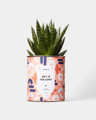100% Customizable Cactus Diaiwaie - 7