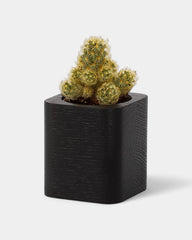 Customizable Cube Pot - 20