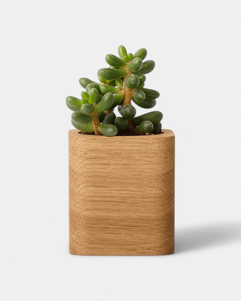 Customizable Cube Pot - 24