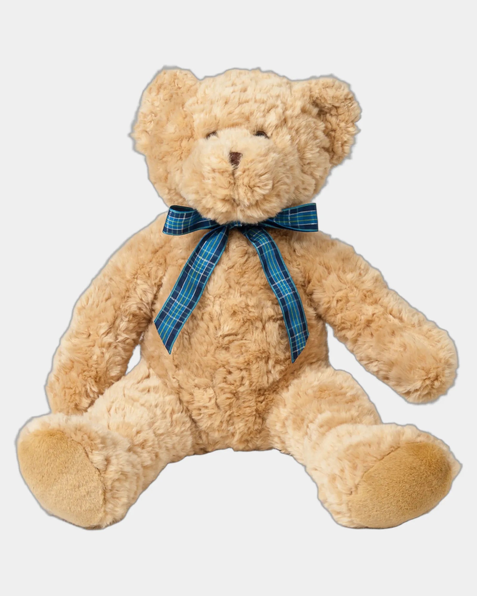 Custom light brown teddy bear with tartan ribbon - 2
