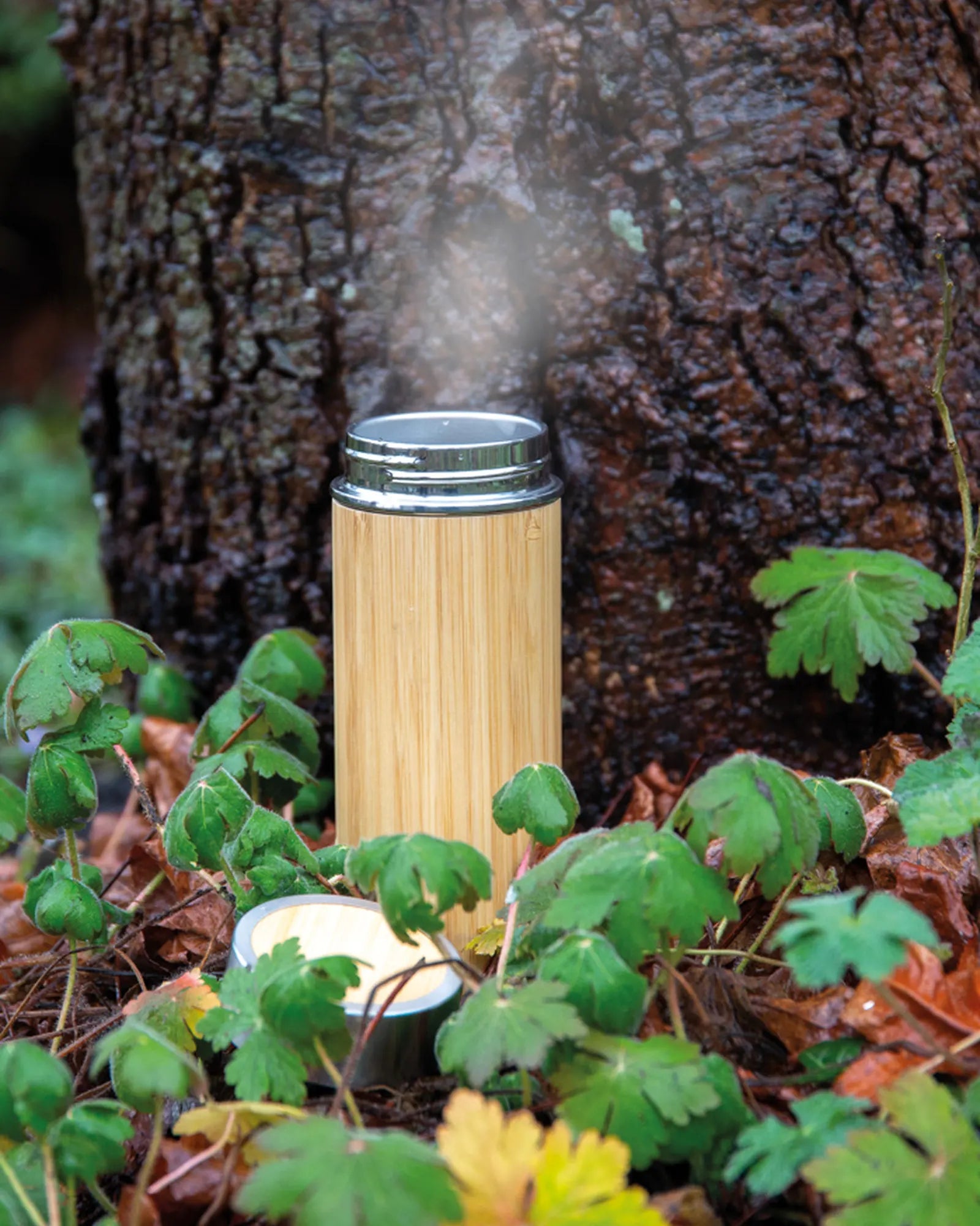 Promotional bamboo insulated water bottle 300ml - 6