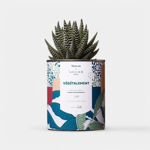 Custom plants