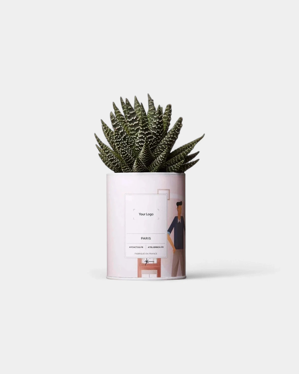 100% Customizable Cactus - Ay Cactus - 1