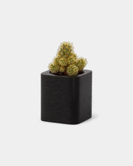 Customizable Cube Pot - 8