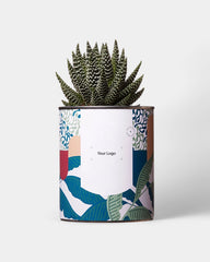 100% Customizable Cactus Diaiwaie - 5