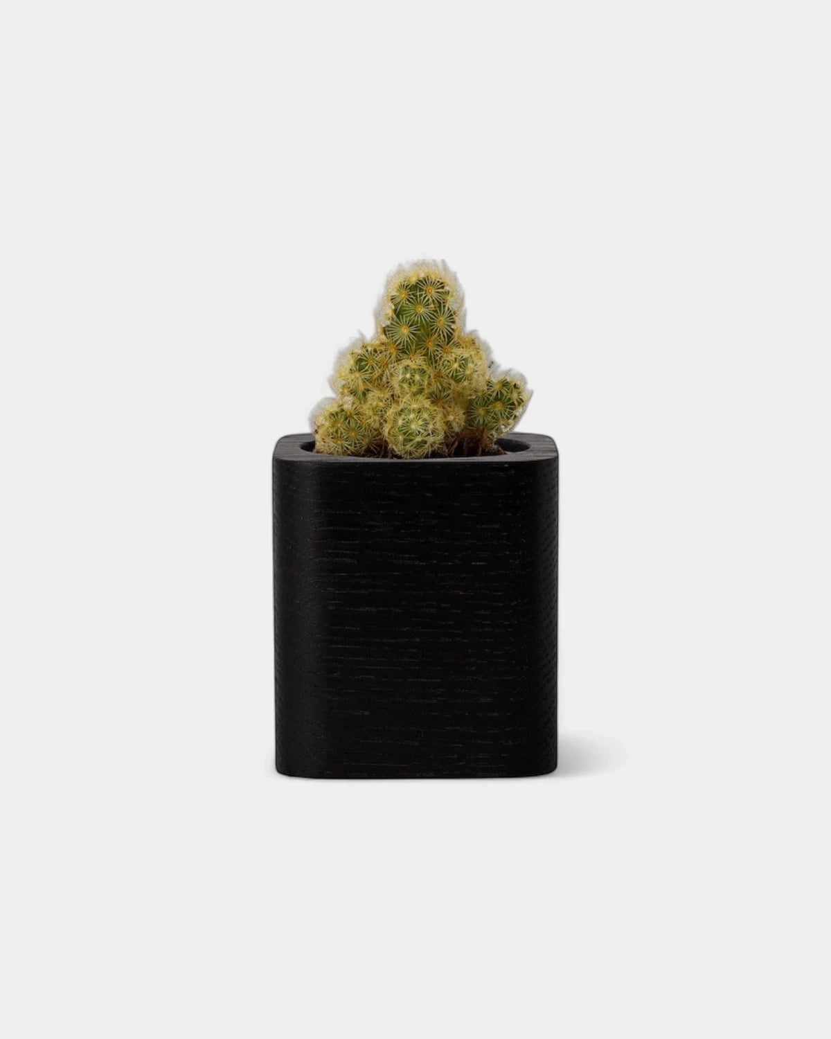 Customizable Cube Pot - 17