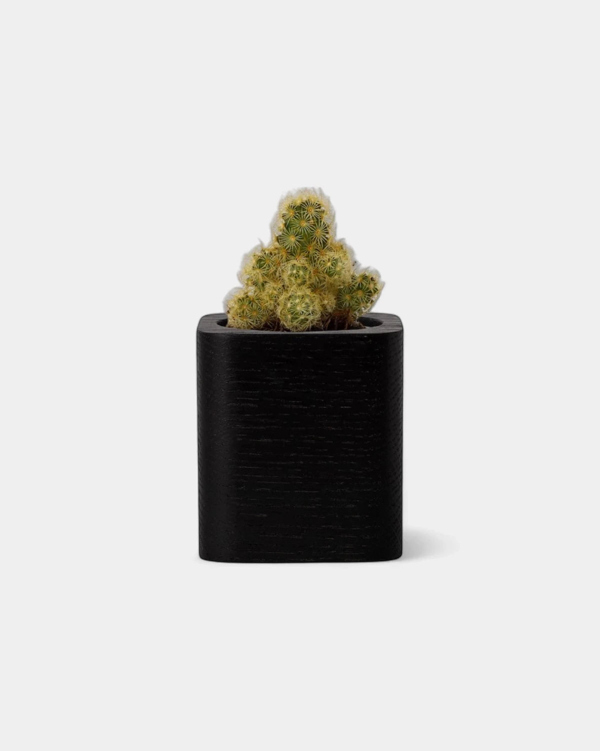 Customizable Cube Pot - 5